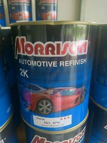 Morison 4P9 *** (กระป๋อง)